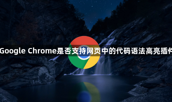 Google Chrome是否支持网页中的代码语法高亮插件1