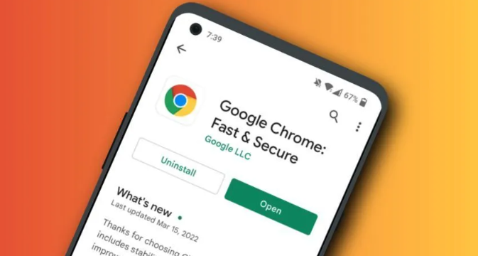 Chrome浏览器下载安装包加密传输技术1
