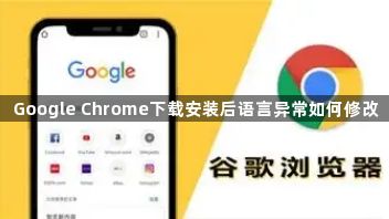 Google Chrome下载安装后语言异常如何修改1