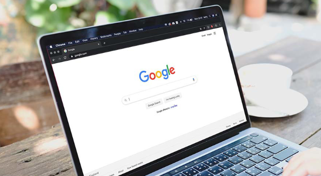 Google浏览器下载管理插件功能评测1