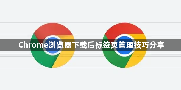 Chrome浏览器下载后标签页管理技巧分享1
