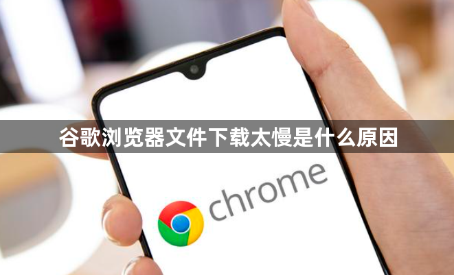 谷歌浏览器文件下载太慢是什么原因1