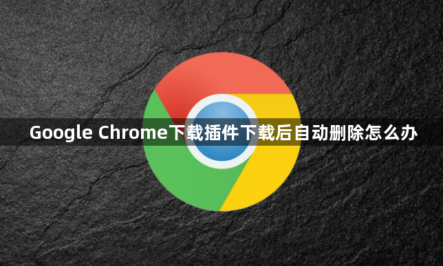 Google Chrome下载插件下载后自动删除怎么办1