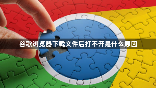 谷歌浏览器下载文件后打不开是什么原因1