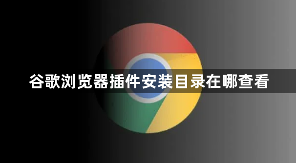 谷歌浏览器插件安装目录在哪查看1