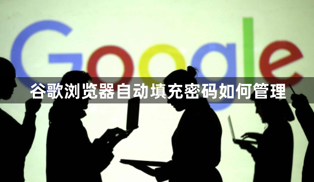 谷歌浏览器自动填充密码如何管理1