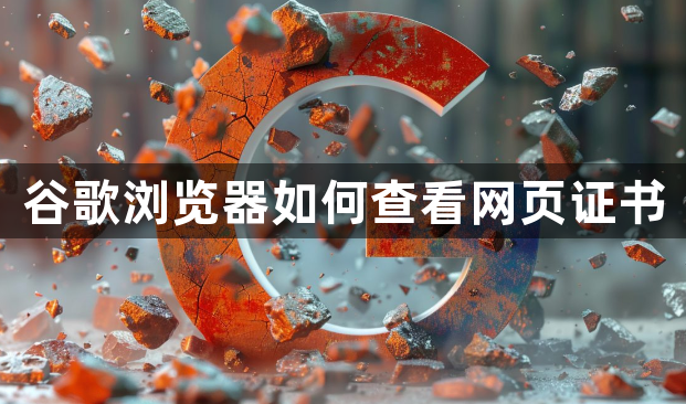 谷歌浏览器如何查看网页证书1
