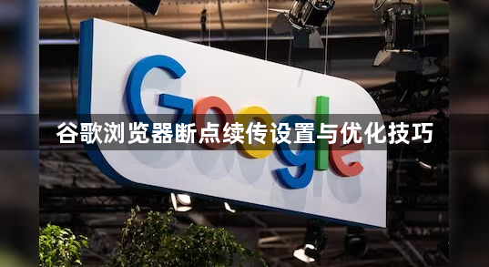谷歌浏览器断点续传设置与优化技巧1