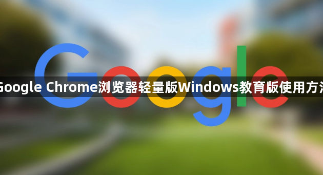 Google Chrome浏览器轻量版Windows教育版使用方法1