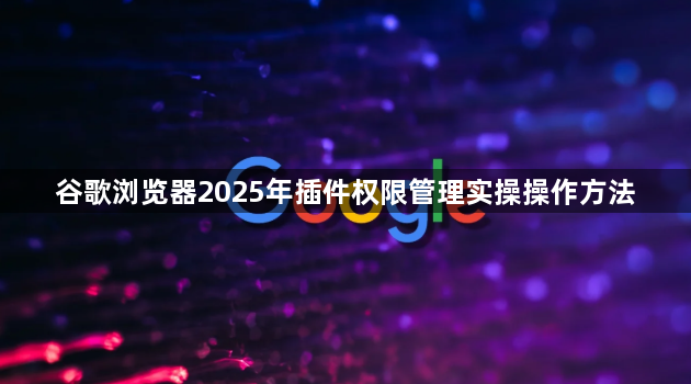 谷歌浏览器2025年插件权限管理实操操作方法1